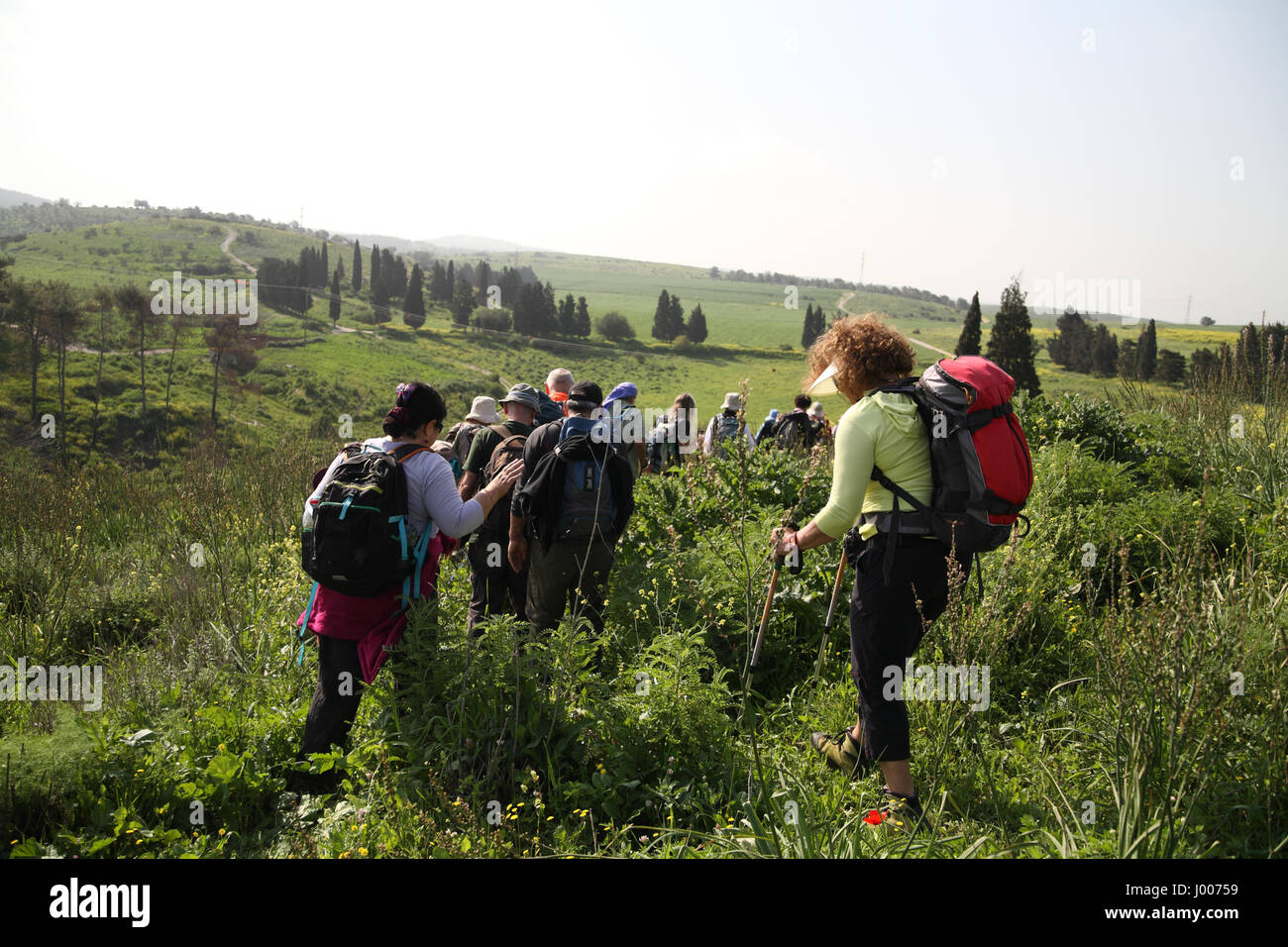 Eine Gruppe von Senioren Wanderer Fuß in der grünen Landschaft. Durch Ein Hashofet in den Menashe Höhen am südlichen Ende des Karmel Ridge, Israel Stockfoto