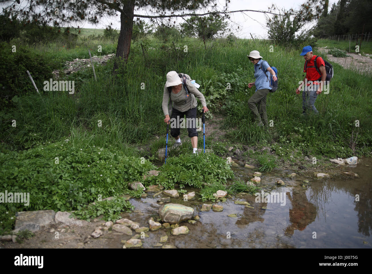 69 Jahre alte Frau Wanderer spazieren auf Kieselsteinen, überqueren einen Stream mit ihrem Wanderstöcke für, ihre beiden Freundinnen in ihren 60ern auch unterstützen, sind folgende. Stockfoto