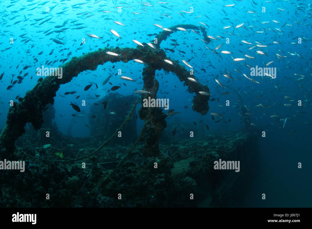 Wrack der Baron Gautsch unter Wasser im Mittelmeer Stockfoto