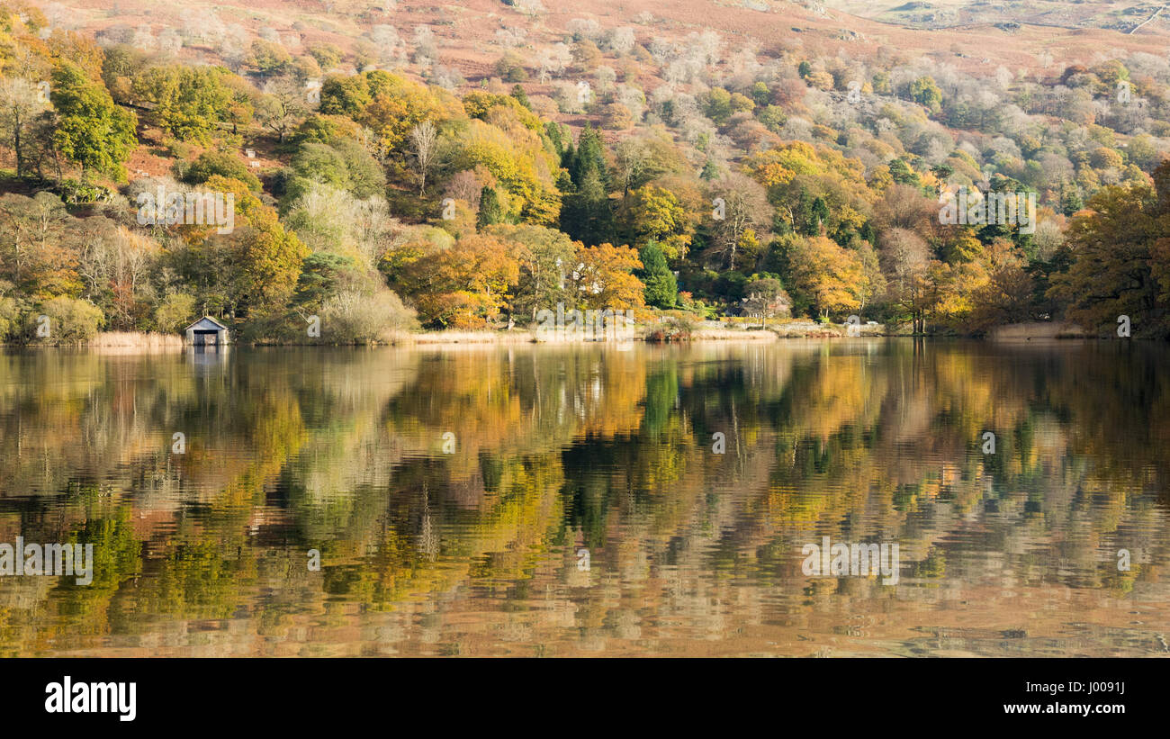 Bäume anzeigen Herbst Farben sind in Rydal Wasser See in England Lake District National Park wider. Stockfoto