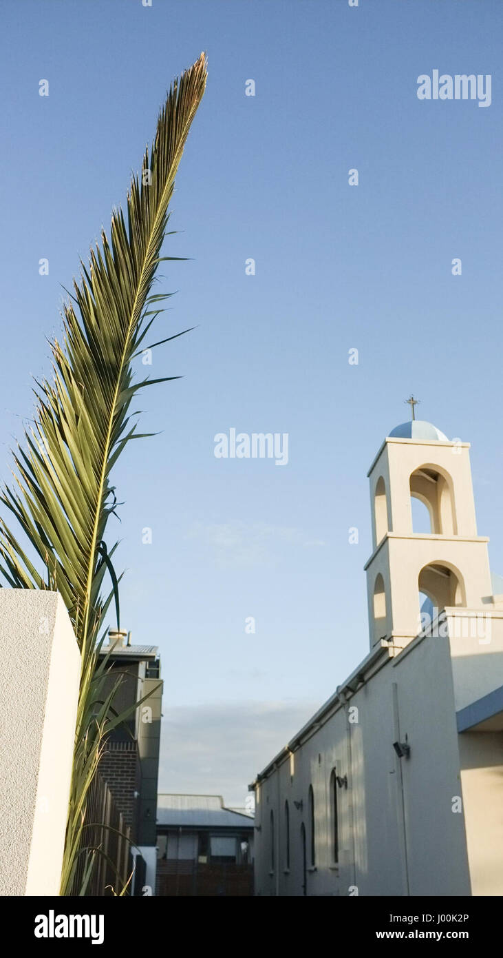 Adelaide, Australien. 8. April 2017. Kirchen in Adelaide sind mit Palmen für den Beginn der Karwoche und Ostern geschmückt. Am Palmsonntag erinnert an den Einzug Jesu in Jerusalem vor Karfreitag Credit: Amer Ghazzal/Alamy Live-Nachrichten Stockfoto