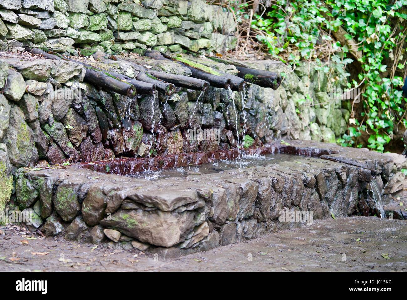 Chorros de Epina - magische Wasser-Quellen von La Gomera Stockfoto