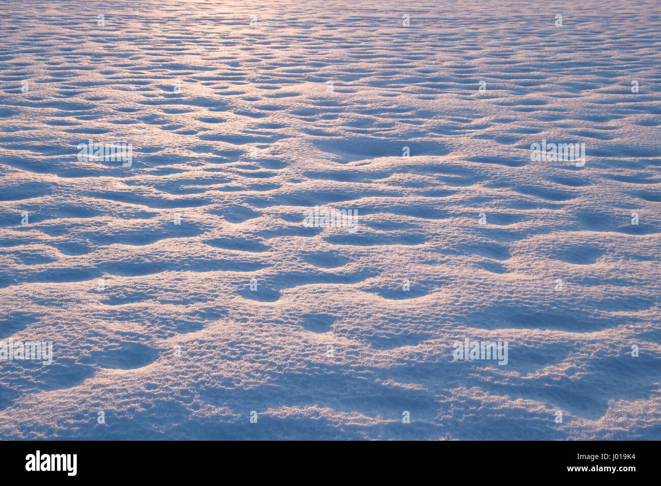 Schneebedecktes Feld Stockfoto
