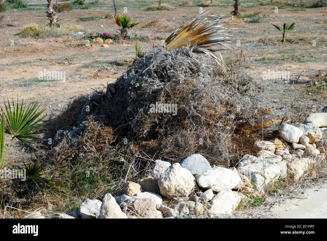 Großer Haufen trockenen Grases, Rinde und Palmen Blätter auf Palm-Bereich. Stockfoto