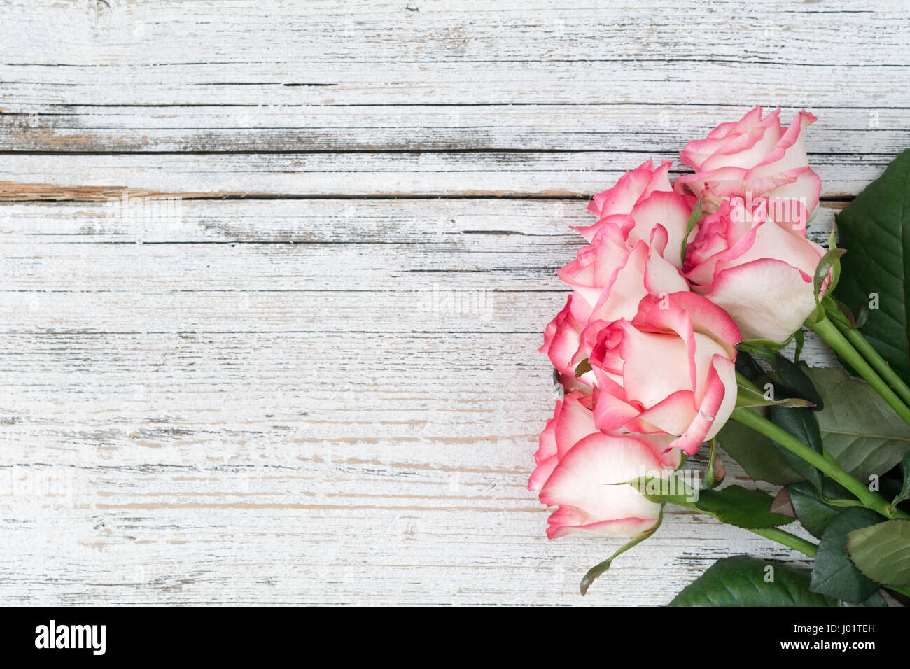Rosa Rosen auf Vintage weiße Holz-Hintergrund. Ansicht von oben, Raum zu kopieren. Konzept der Frauentag, Muttertag, Geschenk, Urlaub. Stockfoto