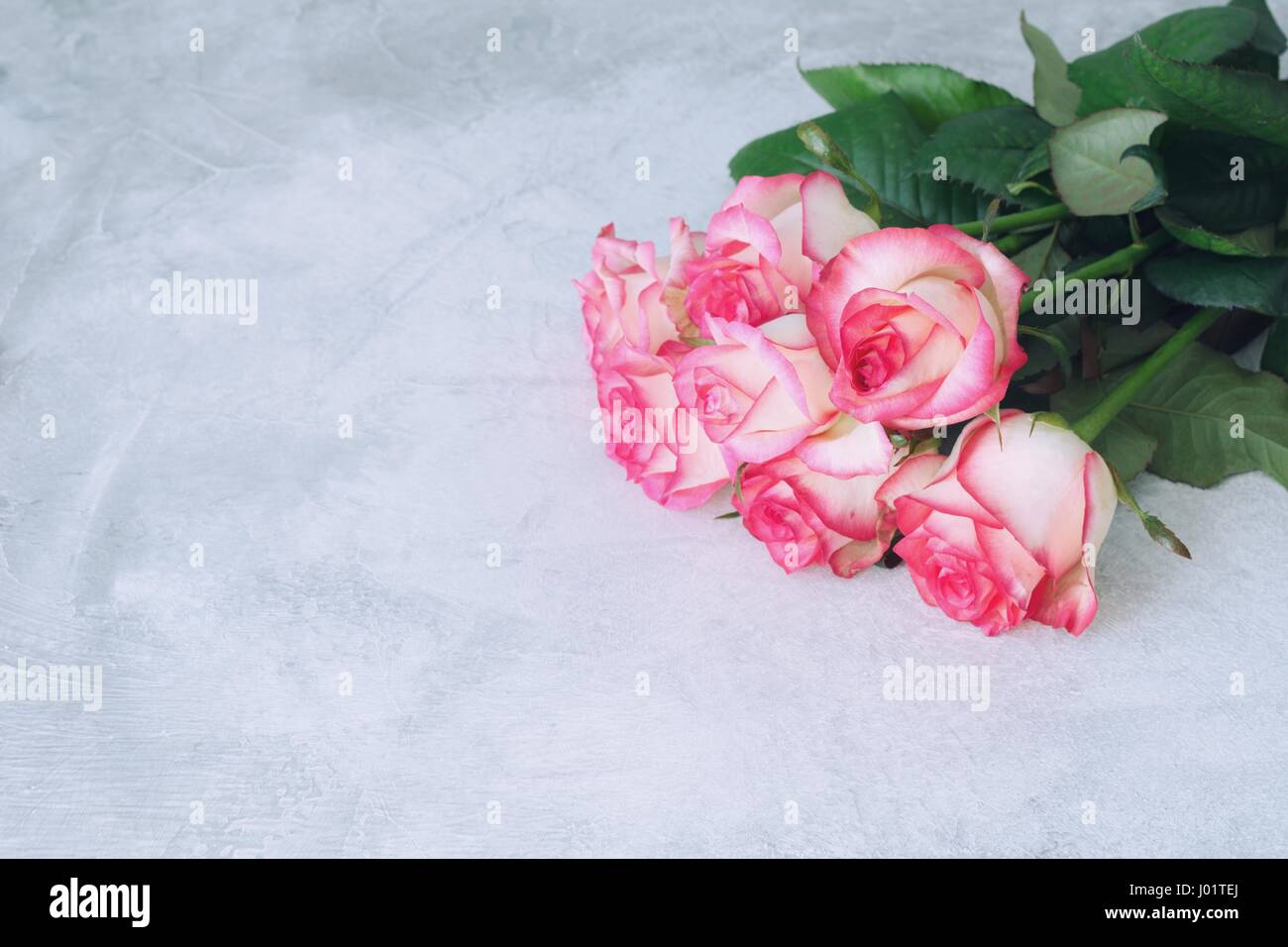 Strauß rosa Rosen auf konkrete Hintergrund mit Textfreiraum Stockfoto