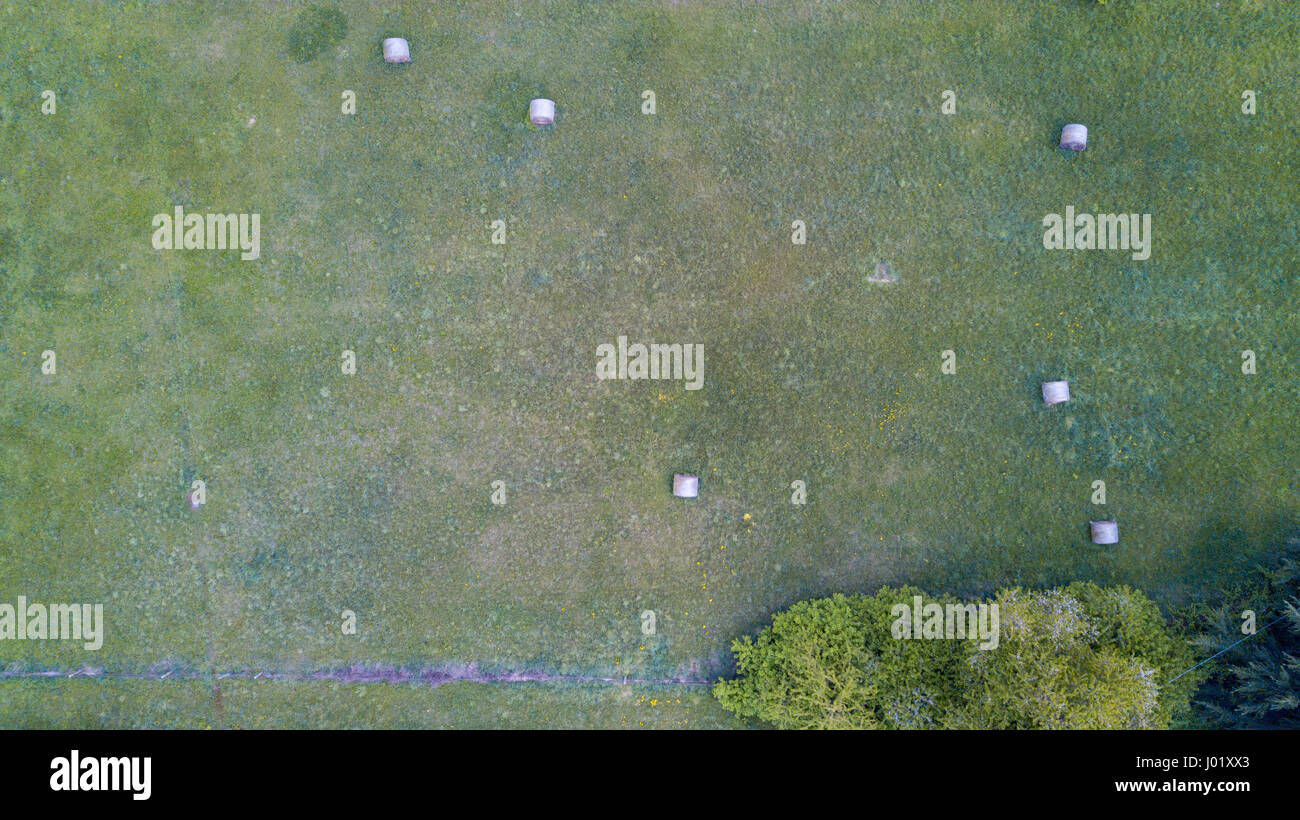 Natur und Landschaft: Luftaufnahme von einem Feld, gepflügtes Feld, Anbau, grasgrün, Landschaft, Landwirtschaft, Heuhaufen, Heuballen Stockfoto