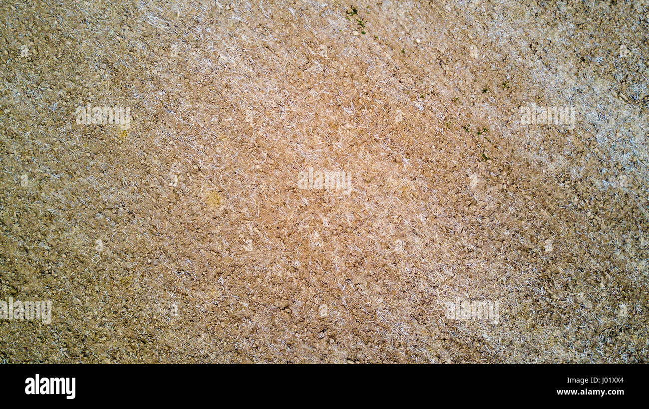 Natur und Landschaft: Luftaufnahme von einem Feld, Anbau, gepflügtes Feld, Landschaft, Landwirtschaft Stockfoto