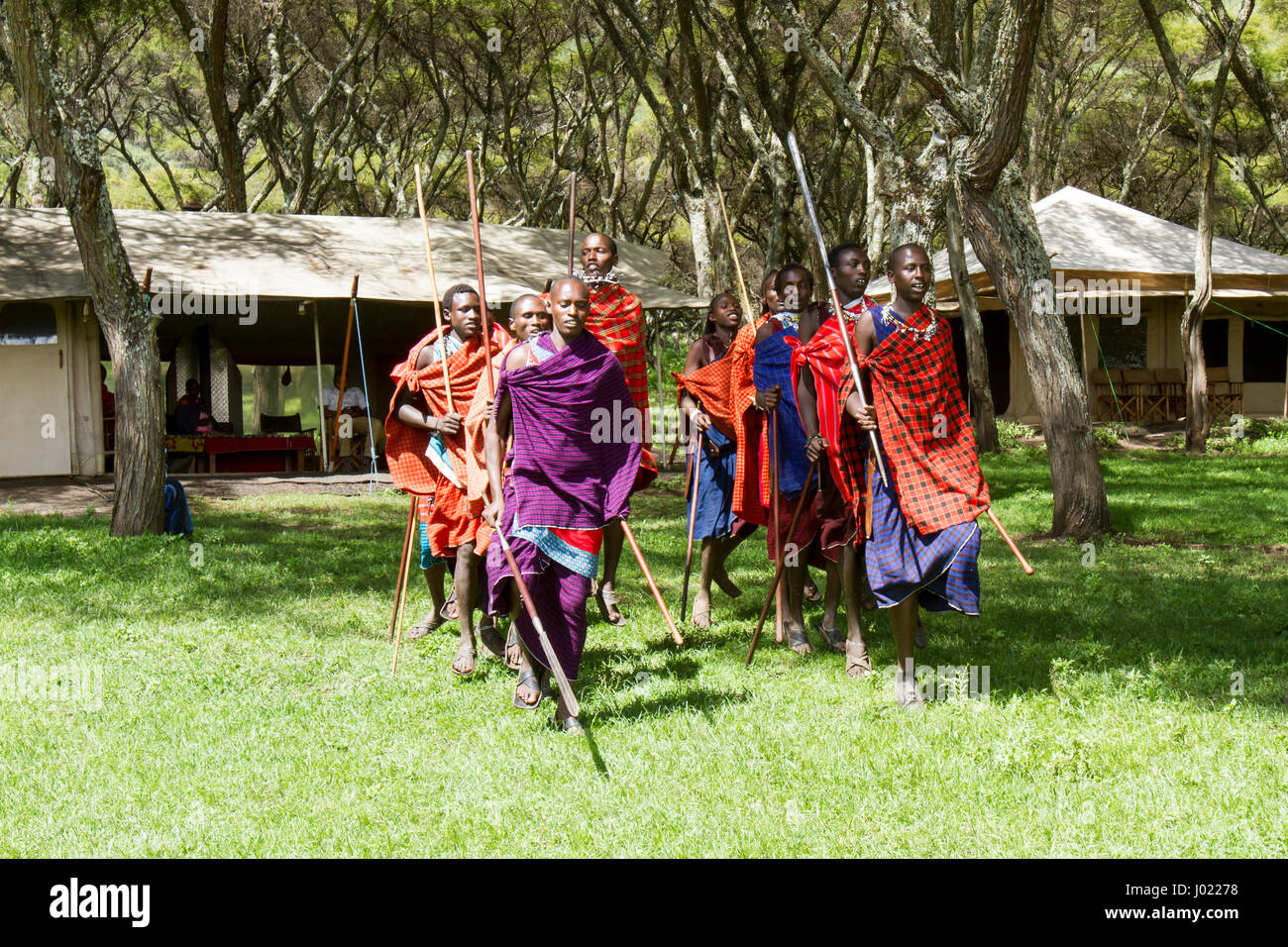 Ngorongoro Conservation Area, Tansania - 8. März 2017: Maasai Dorf Krieger in Zeremonie in Ngorongoro Conservation Area, Tansania, Afrika. Stockfoto