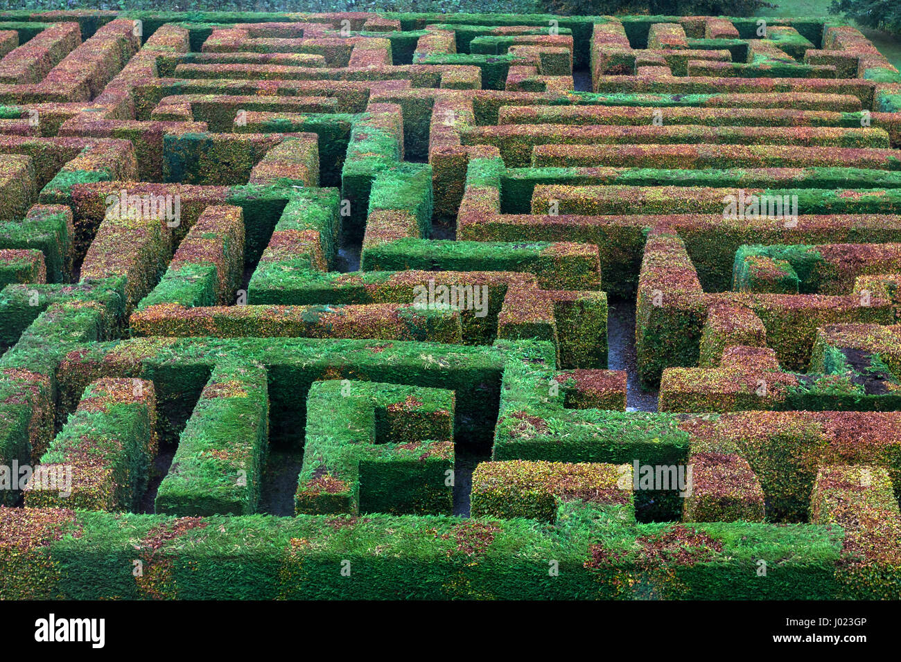 Das Labyrinth an Traquair House, Scottish Borders, Großbritannien Stockfoto