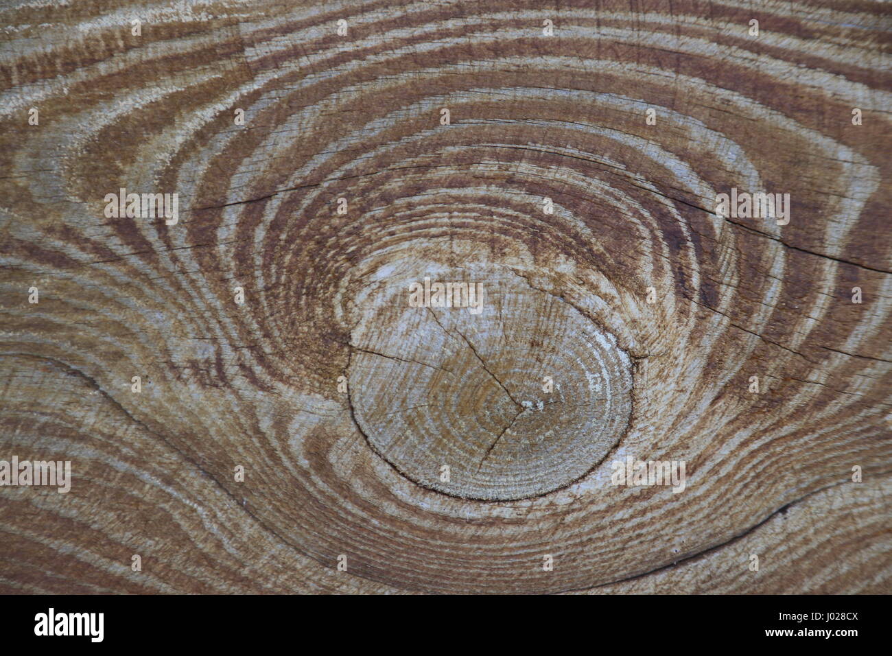 Holz Struktur mit knothole - Hintergrund Stockfoto