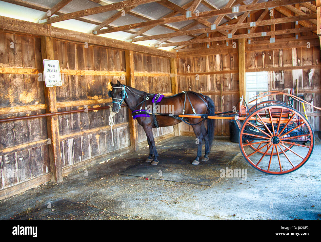 Eine amische Pferd und Buggy in einem Kaufhaus der Kette in Landcaster, Pennsylvannia geparkt. Stockfoto