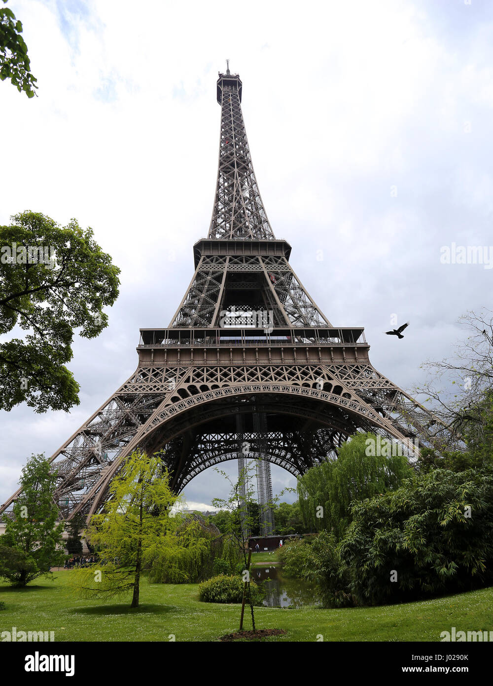 Alternative Sicht auf den Eiffelturm mit Vogel Stockfoto
