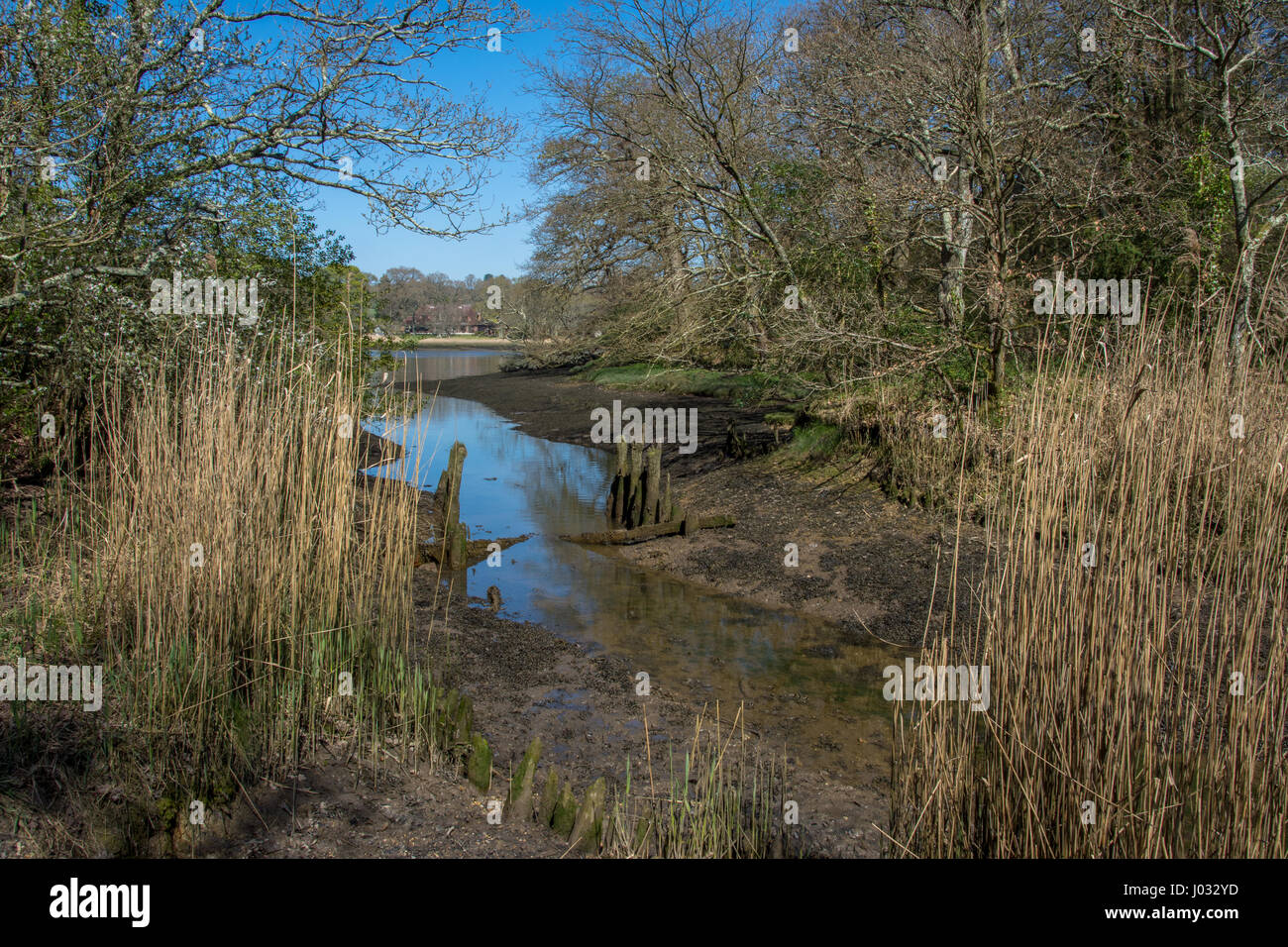 Beaulieu River, New Forest Hampshire, UK, HDR Stockfoto