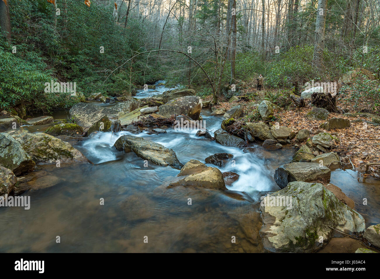 Pearsons Falls ist ein Wasserfall im Colt Creek in der Nähe von Saluda, North Carolina. Stockfoto