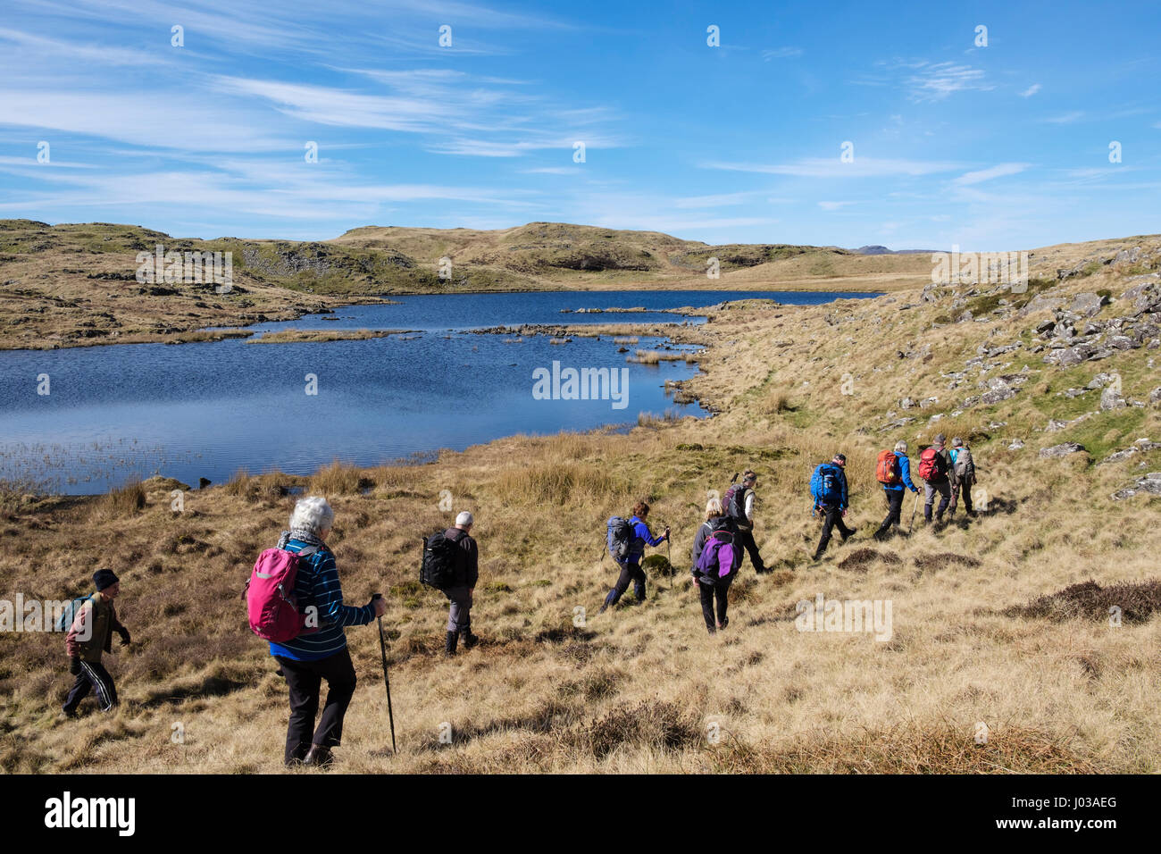 Wanderer-Gruppe neben Llyn Gelli gewinnen Stausee im südlichen Snowdonia Hügeln wandern. Bronaber, Trawsfynydd, Gwynedd, Wales, UK, Großbritannien Stockfoto