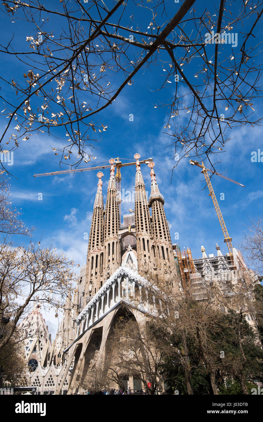 Frühling an der Sagrada Familia, Barcelona-Spanien-Europa-EU Stockfoto