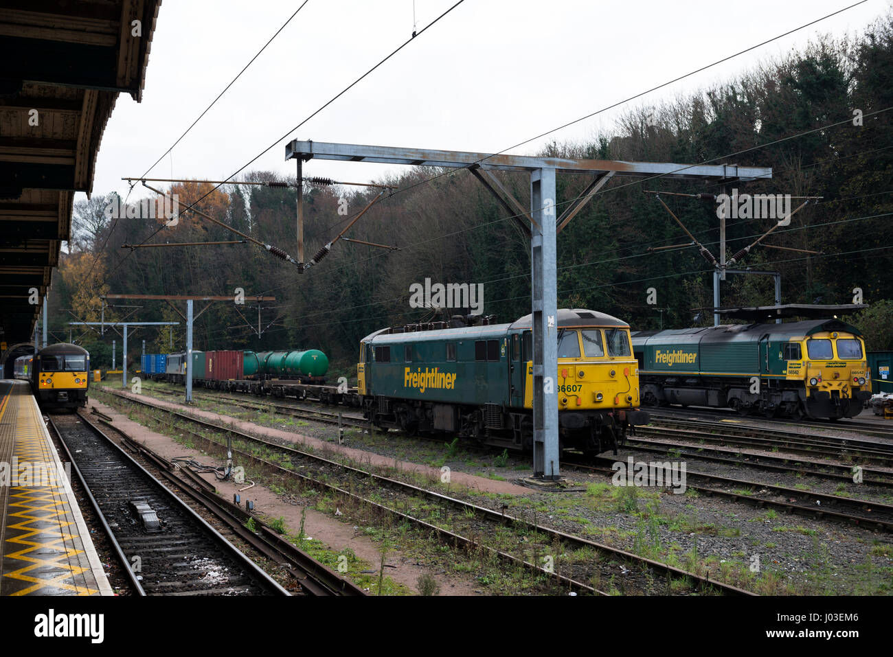 Freightliner-Terminal, Ipswich, Suffolk, UK. Stockfoto