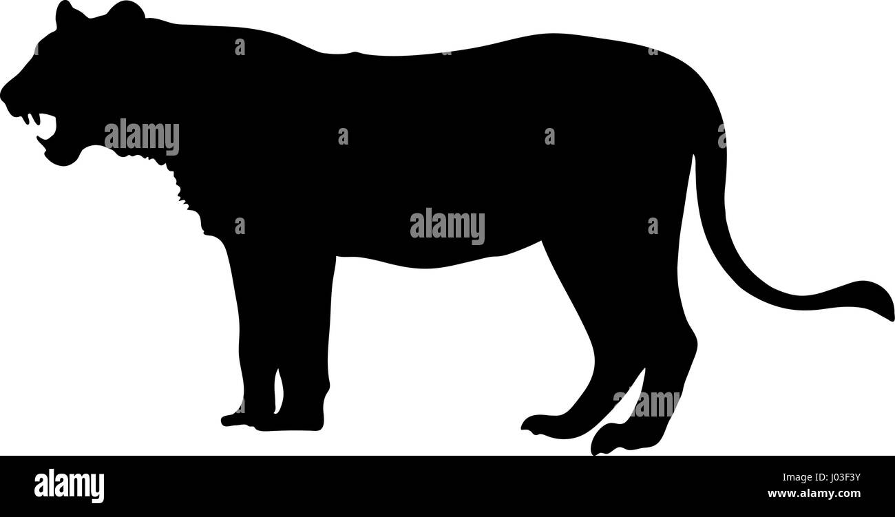 Hand gezeichnete Silhouette eines wilden Löwen Stock Vektor