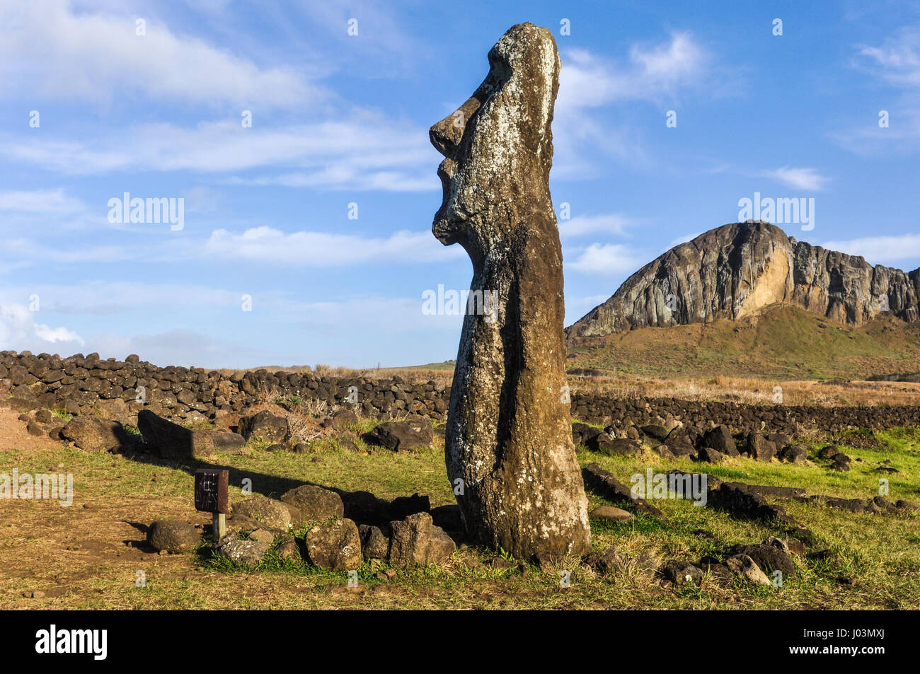Stehen einsam Moai-Statue in der Nähe der Ahu Tongariki auf die Küste der Osterinsel, Chile Stockfoto