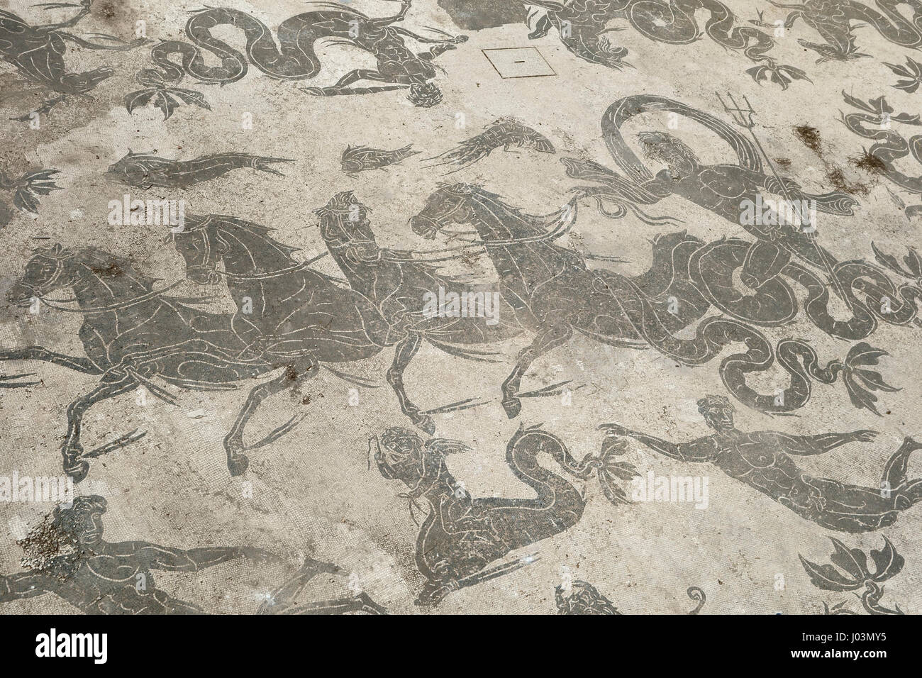 Rom. Italien. Ostia Antica. Mosaik von Neptun, Fußboden-Dekoration in den Thermen des Neptun. Mosaico di Nettuno, Terme di Nettuno. Stockfoto