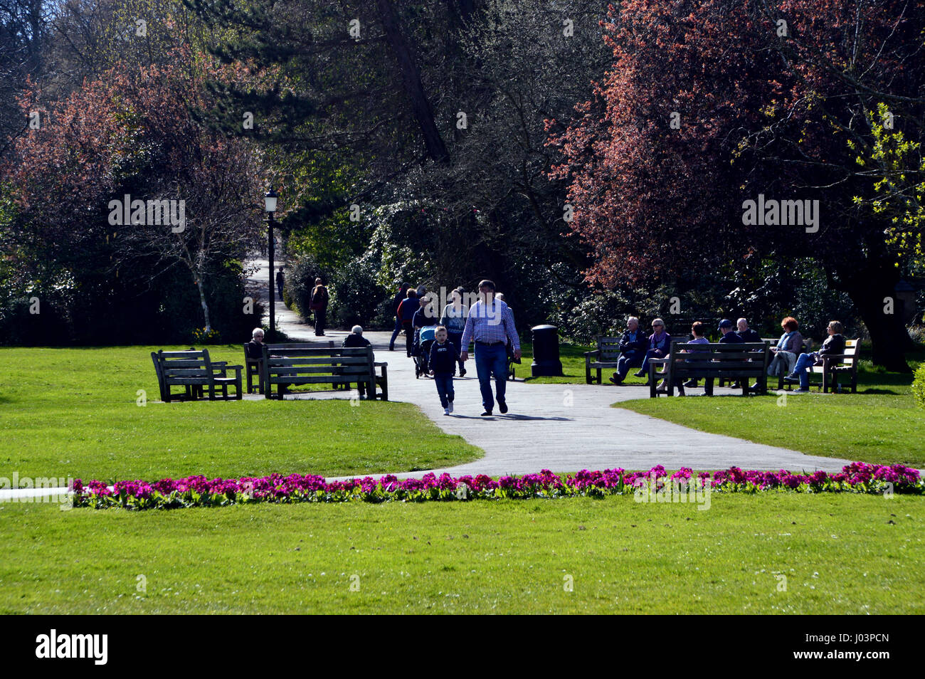 Junge Familie ist Fuß durch Valley Gardens in der Kurstadt Harrogate, Yorkshire.UK. Stockfoto