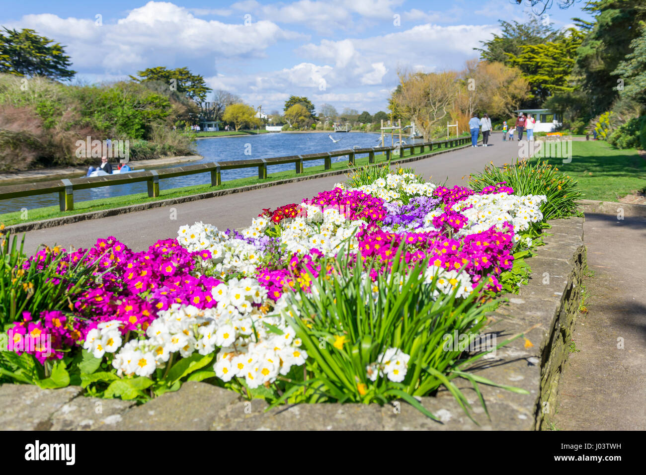 Frühling Blumenbeet an einem See in Mewsbrook Park, Littlehampton, West Sussex, England, UK. Stockfoto