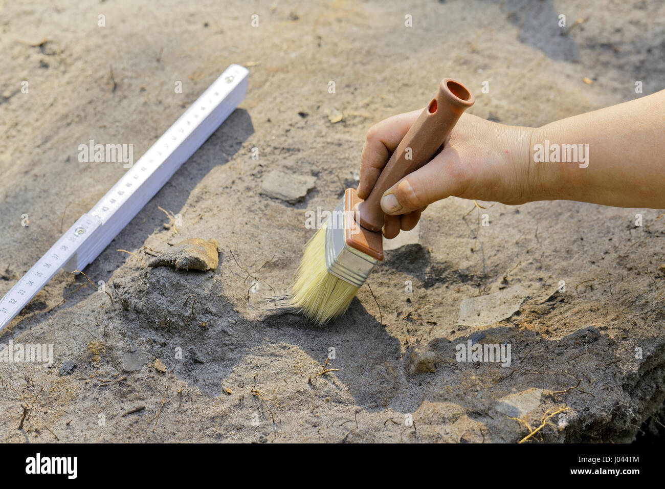 Dünne clearing von der Ausgrabungsstätte in der Archäologie Stockfoto