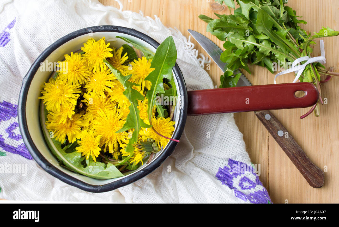 Gelber Löwenzahn Blumen in einer Schüssel vintage Stockfoto