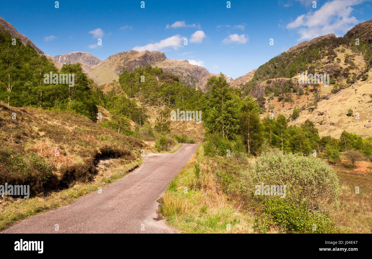 Eine eingleisige Bahn schlängelt sich vom Wald in der Talsohle des Glen Nevis, unter den Bergen der Ben Nevis Range in den westlichen Highlands von Scotlan Stockfoto