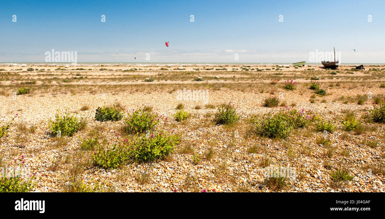 Drachen sind auf expansive Kiesel Strand der Romney Marsh auf der Küste von Kent Ärmelkanal geflogen. Stockfoto