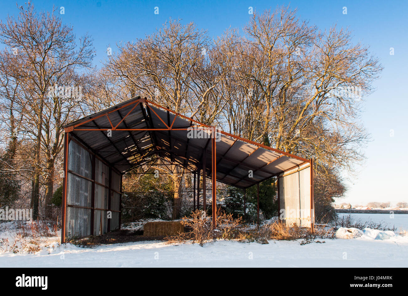 Winter Schnee deckt ein Feld um eine Scheune in stalbridge, blackmore vale Molkerei's North Dorset Landwirtschaft Bezirk. Stockfoto