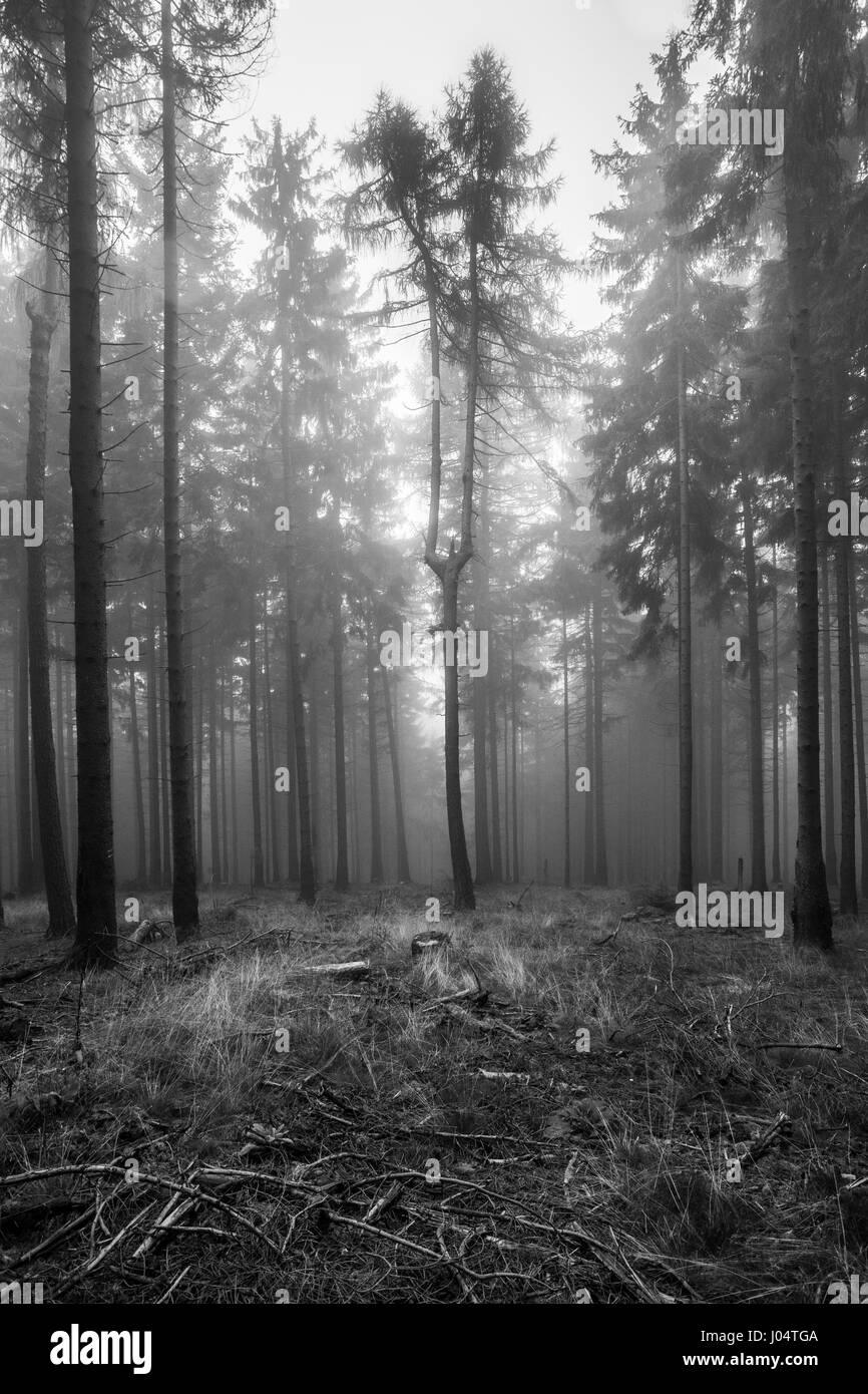 Herbst in deutschen Berge und Wälder - bei einer Wanderung in einigen deutschen Durchschnitt Berge bekam ich diese Landschaft, Panorama und Natur Motive. Clos Stockfoto