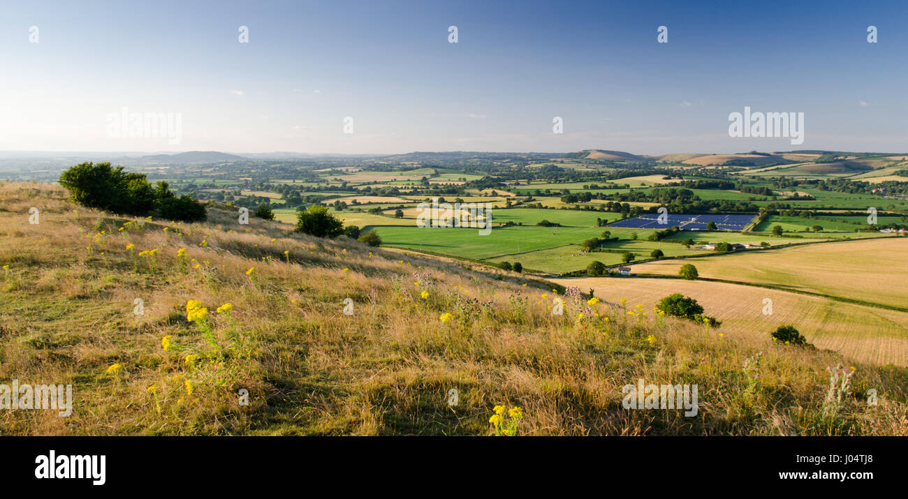 Molkerei Weide Felder in Englands Blackmore Vale, das "Tal der kleinen Molkereien" Sonderangebot-Thomas Hardy Romane wie Tess of the d ' Urbervilles. Stockfoto