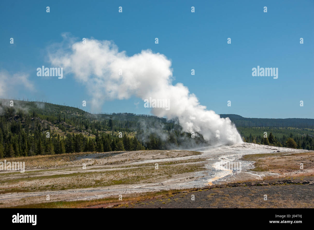 Ein Geysir im Yellowstone-Nationalpark Schläge-off Dampf während kochend heißes Wasser rieselt einem gewundenen Kanal in Richtung Vordergrund. Stockfoto