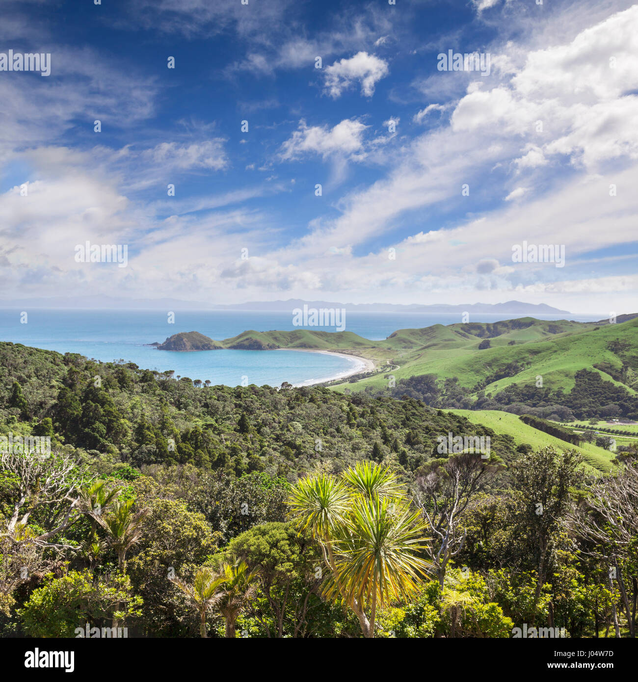 Port Jackson Bay, Coromandel, Neuseeland Stockfotografie Alamy