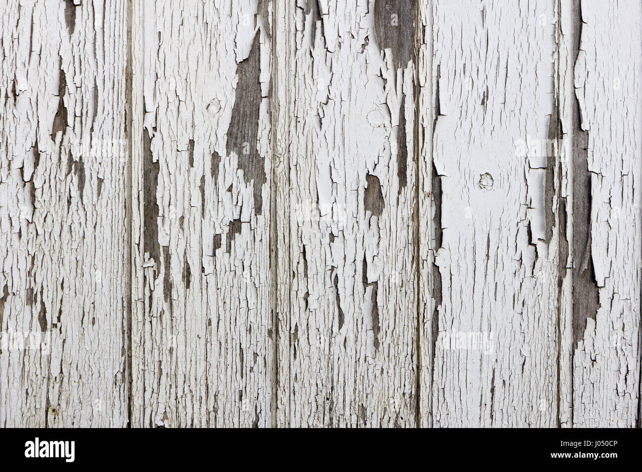Alte Holzplanken, die sich von der weißen Farbe ablösen Stockfoto