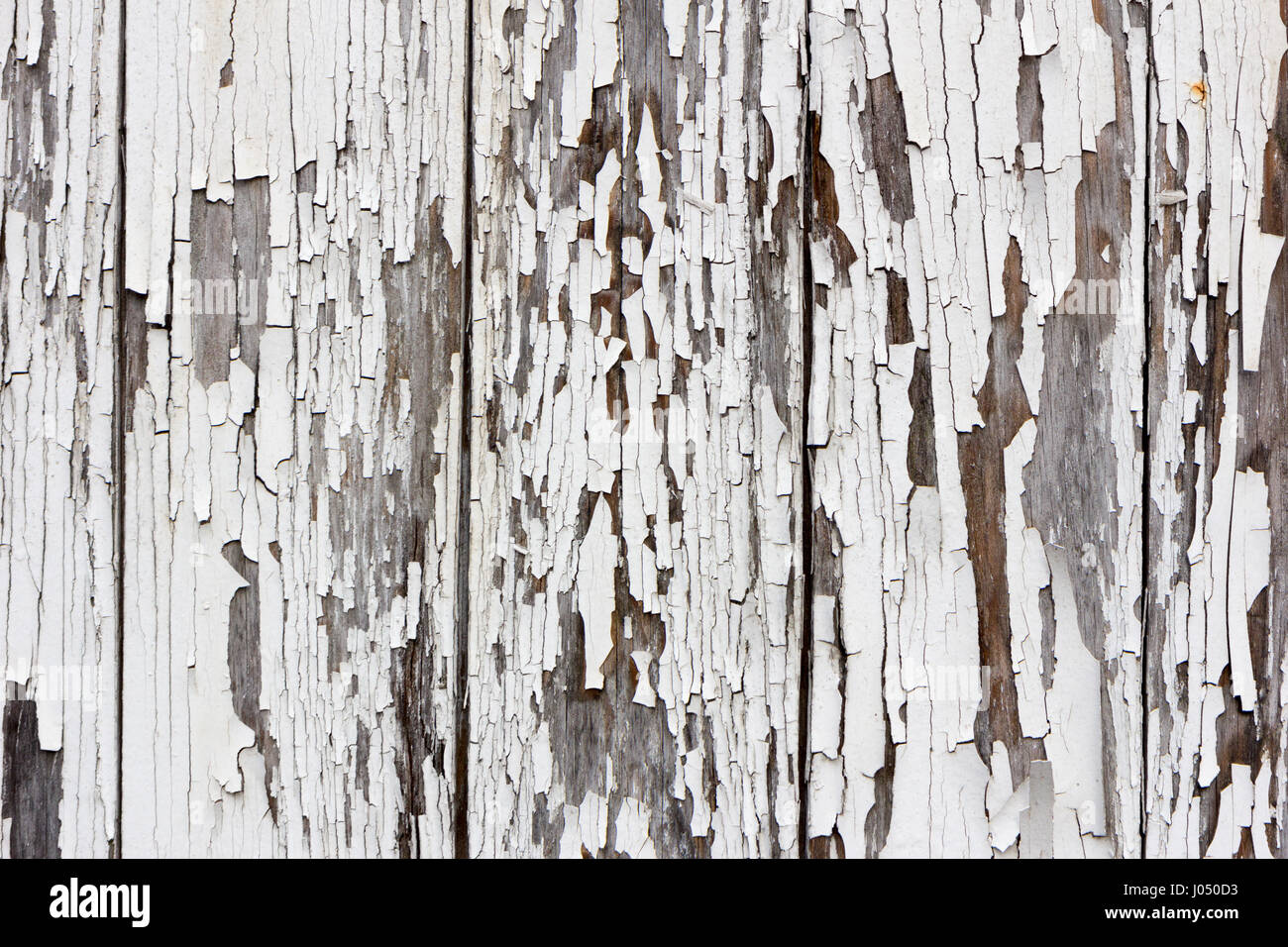 Alte Holzplanken, die sich von der weißen Farbe ablösen Stockfoto