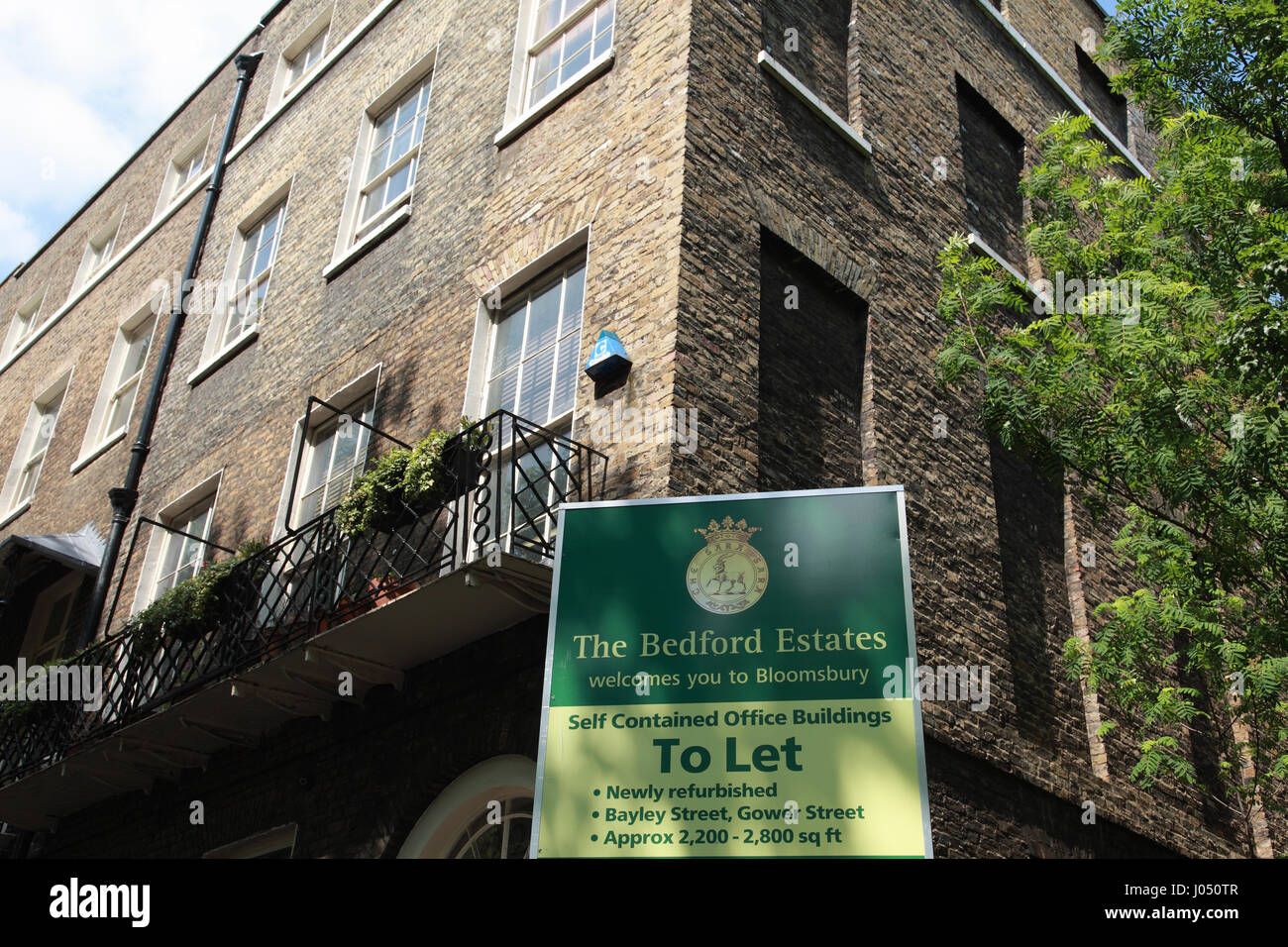 Ein Schild, dass Bürogebäude in Bloomsbury, London, im Besitz von Bedford Estates, werden zu lassen. Stockfoto