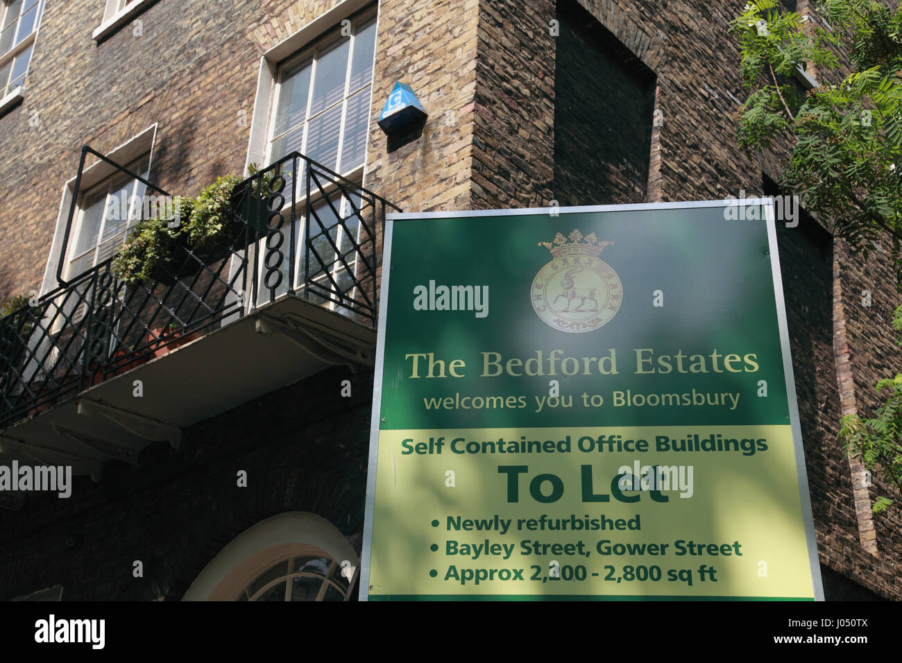 Ein Schild, dass Bürogebäude in Bloomsbury, London, im Besitz von Bedford Estates, werden zu lassen. Stockfoto