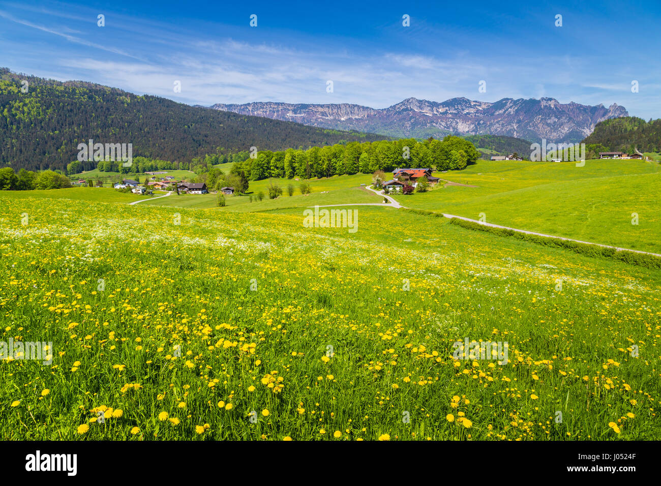 Panoramablick auf der idyllischen Bergwelt der Alpen mit frischen grünen Wiesen in voller Blüte an einem schönen sonnigen Tag im Frühling Stockfoto
