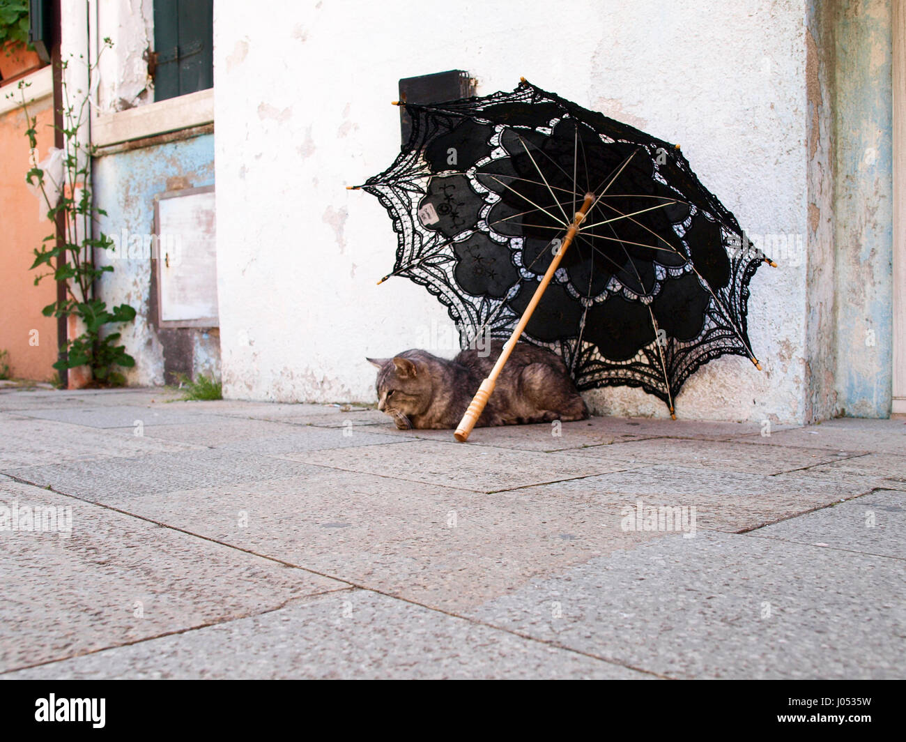 Burano, Italien: Katze ruht unter einem Regenschirm in der Nähe ein Haus Stockfoto