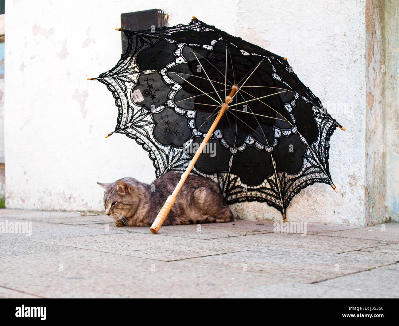 Burano, Italien: Katze ruht unter einem Regenschirm in der Nähe ein Haus Stockfoto