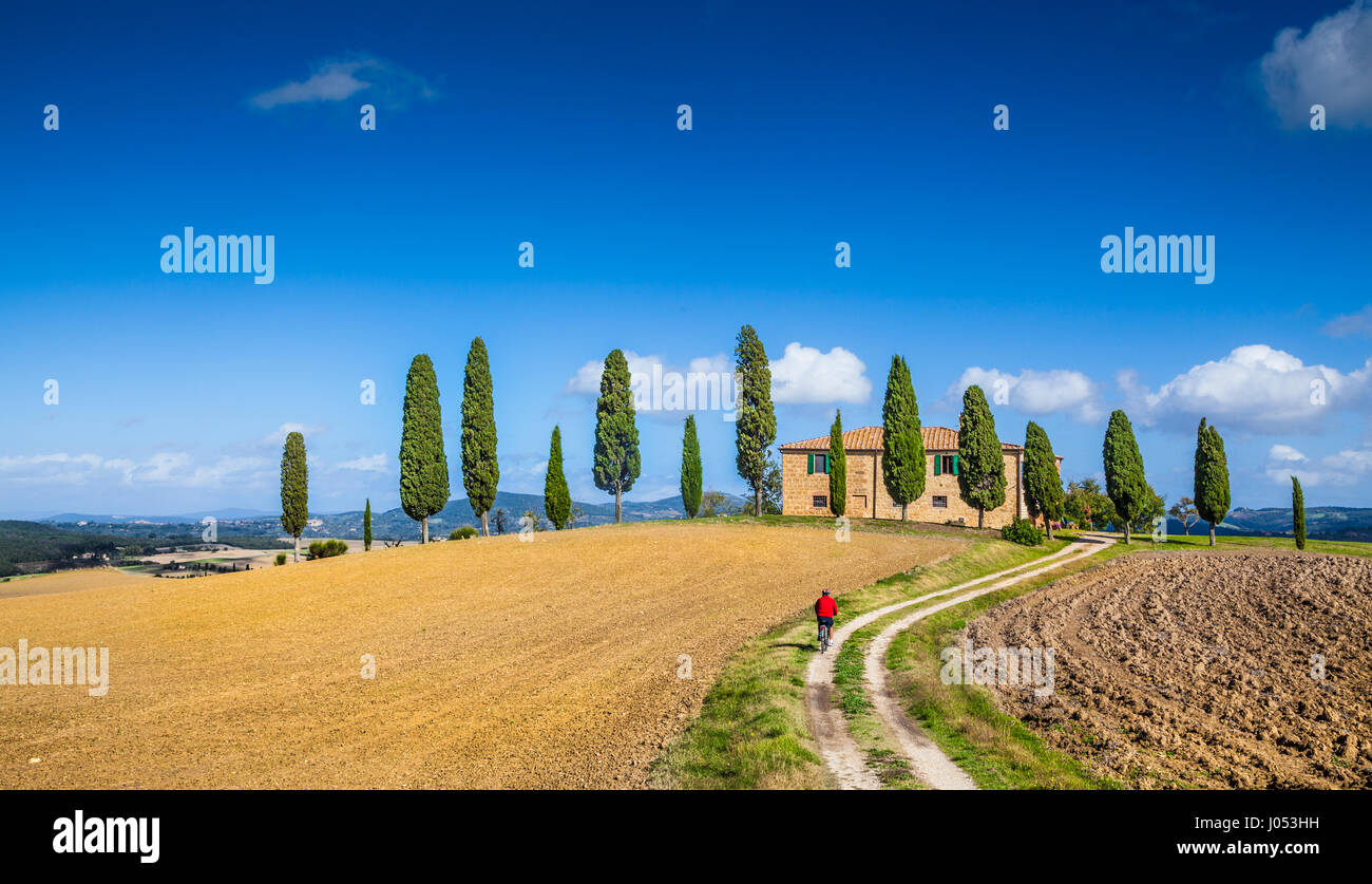 Klassische Panoramablick auf malerischen toskanischen Landschaft mit berühmten Bauernhaus und männliche Radfahrer auf einer Landstraße an einem schönen sonnigen Tag im Sommer, Italien Stockfoto
