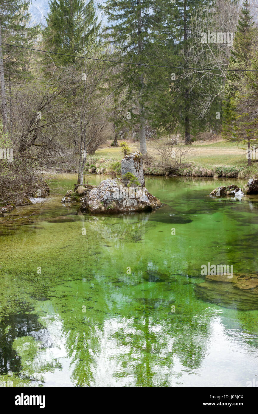 Frühlingsgrün Landschaft See und Tanne Waldbäume Stockfoto
