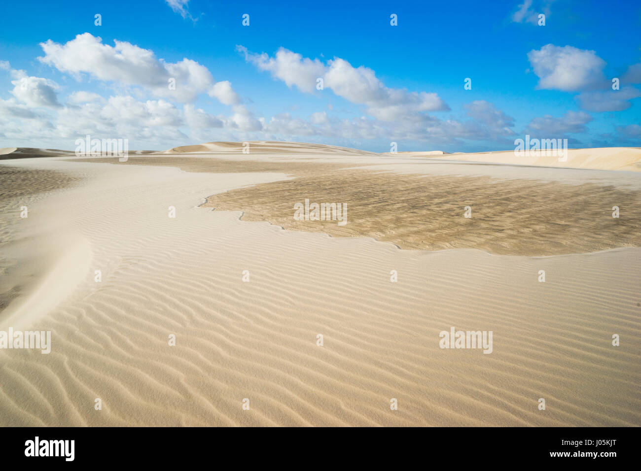 Wüstenlandschaft mit Sanddünen von Lençóis Maranhenses Nationalpark in Brasilien Stockfoto
