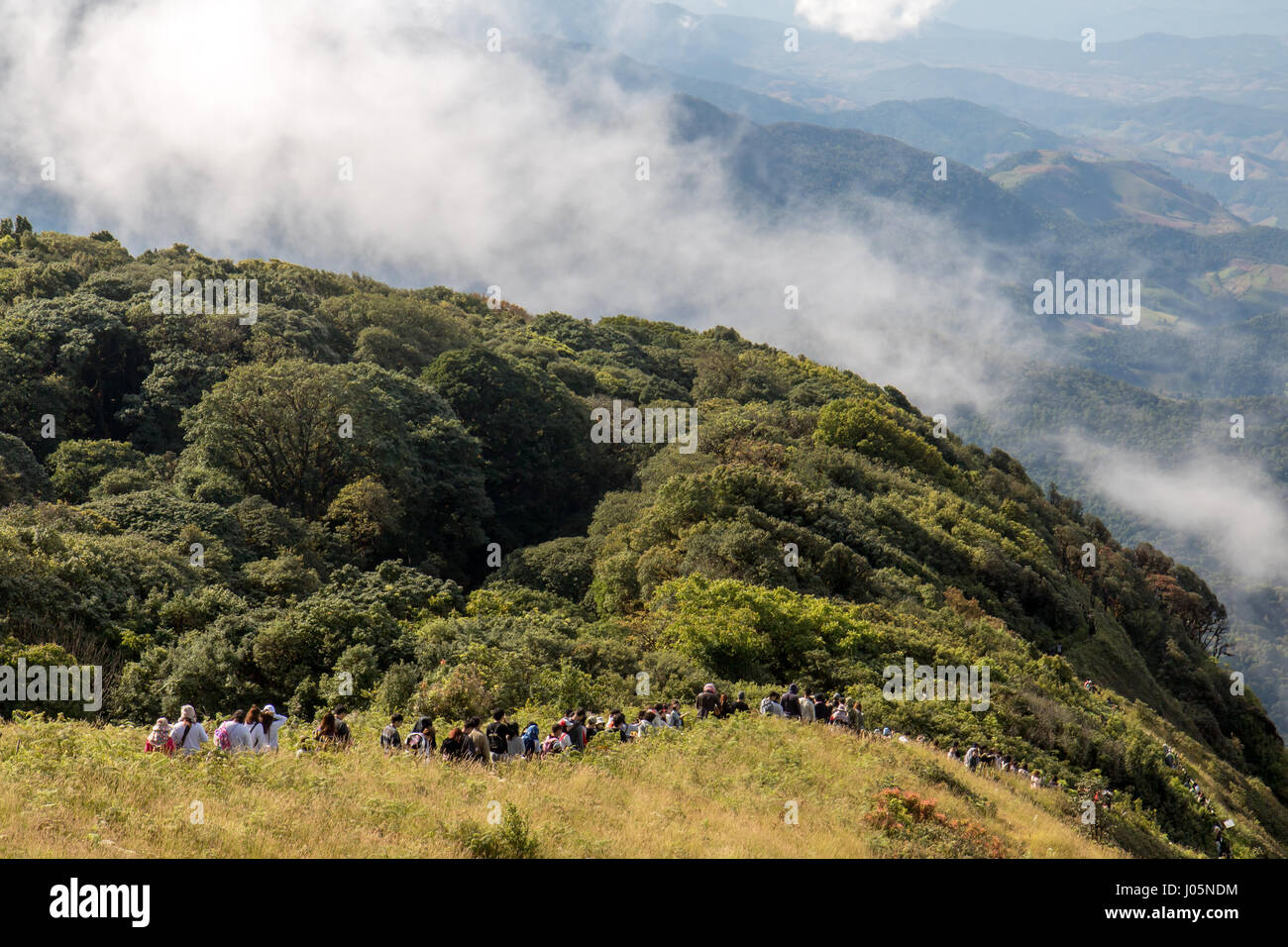 Touristen-Abstieg vom Gipfel Berges, der Kew Mae Pan Lehrpfad im Doi Inthanon Nationalpark, Provinz Chiang Mai, Thailand Stockfoto