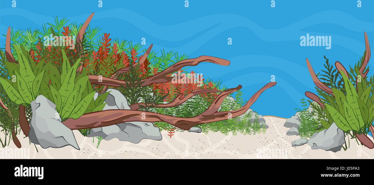 Natürliche Heimat bepflanzten Aquarium mit Fischen und Pflanzen. Natürliche Wasser unten Szene mit Steinen, Holz und Pflanzen. Aquascape Setup. Vektor-illustratio Stock Vektor