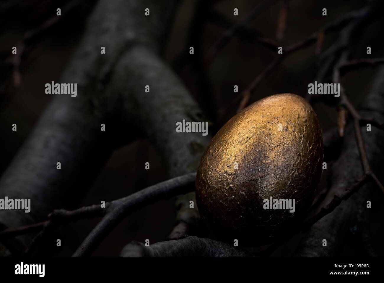 Ein goldenes Ei versteckt auf einem Ast mit dunklem Hintergrund. Stockfoto