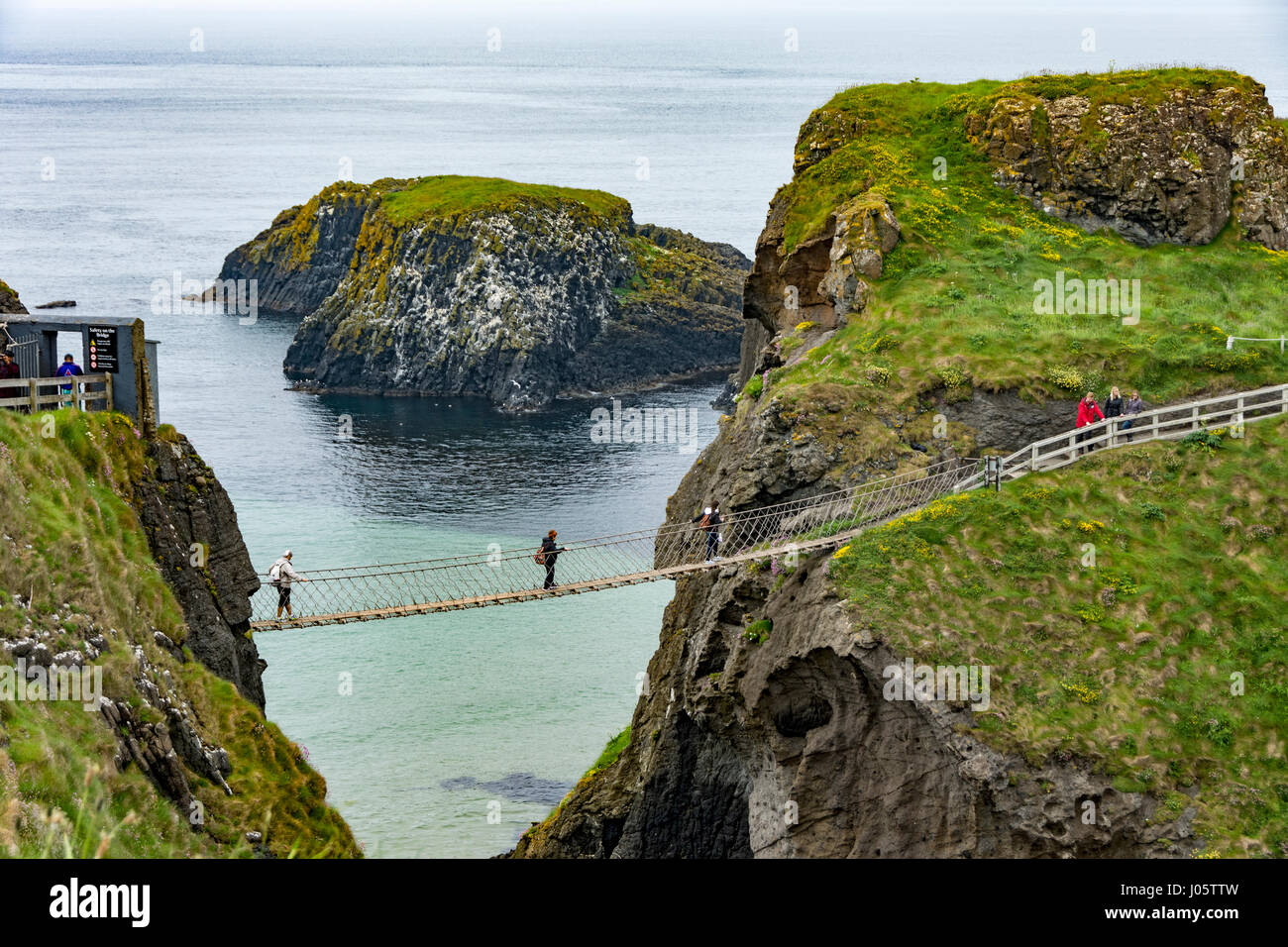 Carrick-a-Rede Seilbrücke, Causeway-Küste, County Antrim, Nordirland, Vereinigtes Königreich Stockfoto